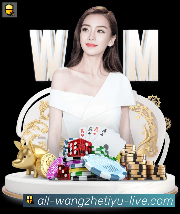 未来规划